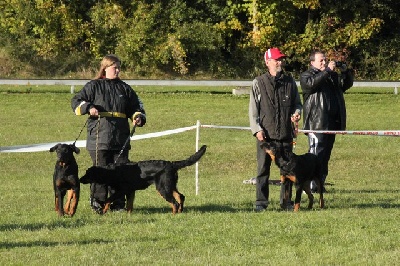 Résultats des 2 journées beauceronnes d'octobre